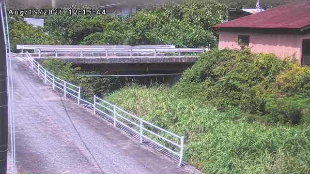 湯河川１2026/08/19 12:30:00