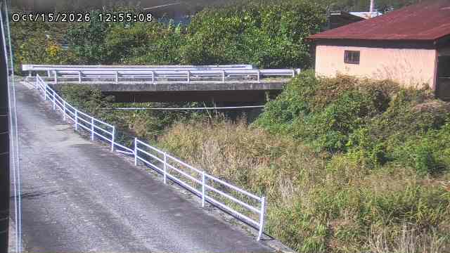 湯河川１2026/10/15 22:50:00