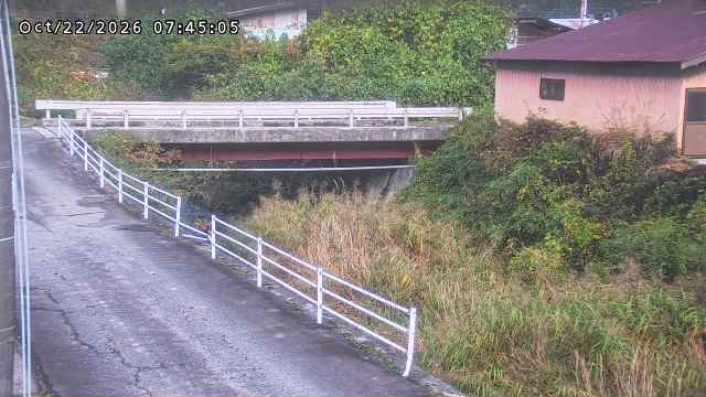 湯河川１2026/10/22 8:00:00