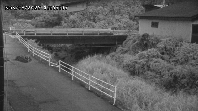 湯河川１2025/11/03 20:00:00