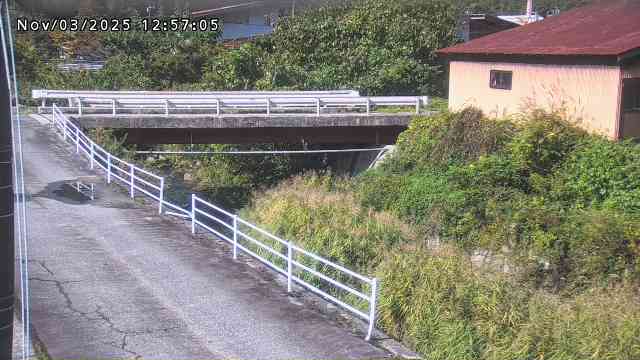 湯河川１2025/11/03 20:00:00