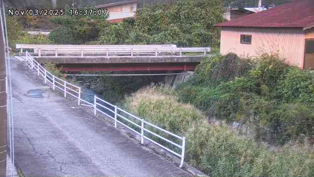 湯河川１2025/11/03 20:00:00