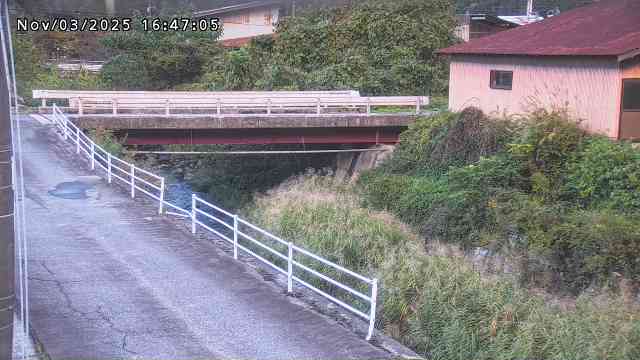 湯河川１2025/11/03 20:00:00