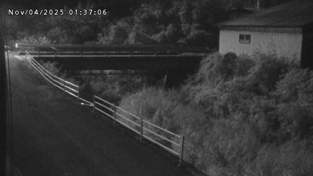 湯河川１2025/11/04 4:10:00