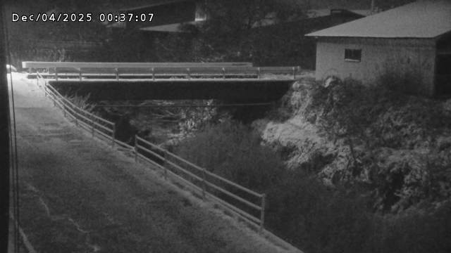 湯河川１2025/12/04 3:30:00