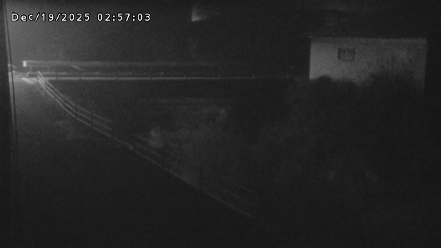 湯河川１2025/12/19 7:40:00