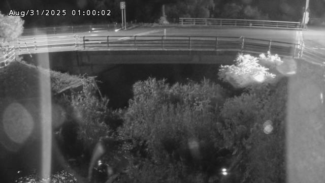 小川尻川１2025/08/31 11:20:00