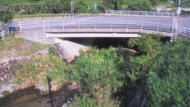 小川尻川１2025/08/31 11:20:00