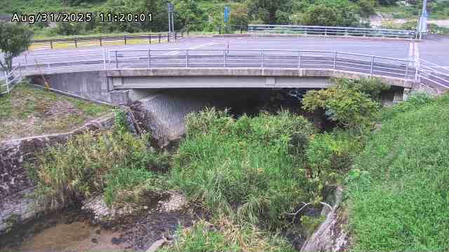 小川尻川１2025/08/31 11:20:00