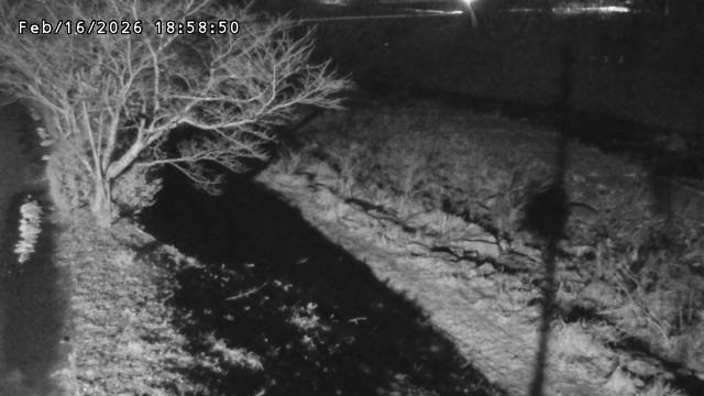 日野川１2026/02/17 16:40:00