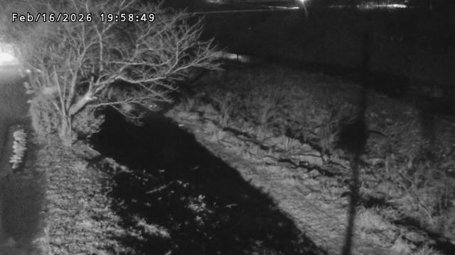 日野川１2026/02/17 16:40:00