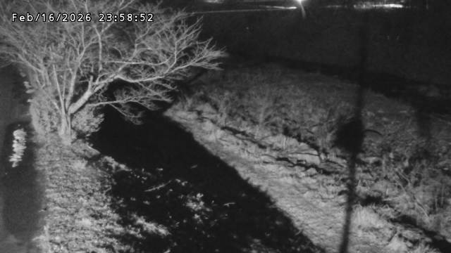 日野川１2026/02/17 16:40:00