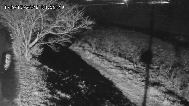 日野川１2026/02/17 16:40:00