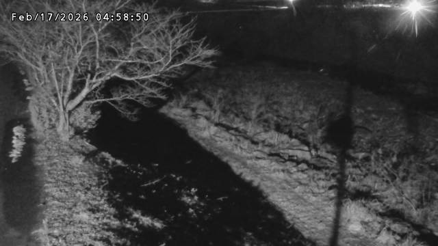 日野川１2026/02/17 16:40:00