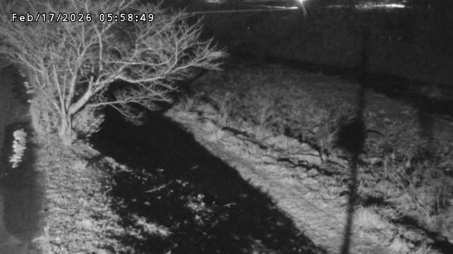 日野川１2026/02/17 16:40:00