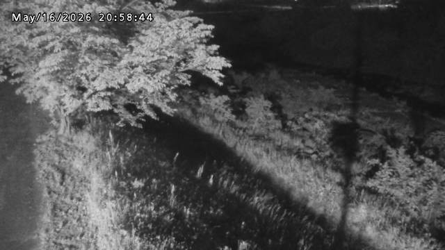 日野川１2026/05/17 21:00:00