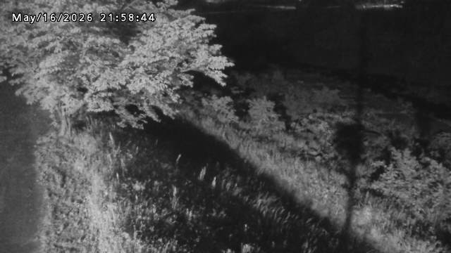 日野川１2026/05/17 21:00:00