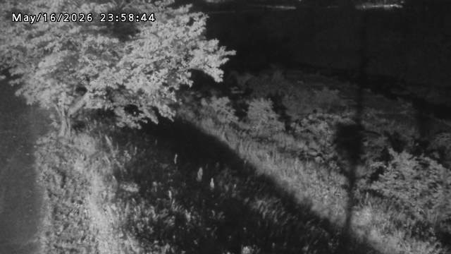 日野川１2026/05/17 21:00:00