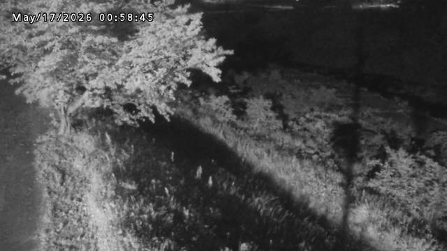 日野川１2026/05/17 21:00:00