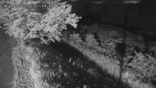 日野川１2026/05/17 21:00:00