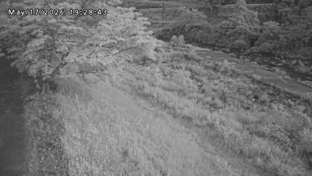 日野川１2026/05/17 21:00:00