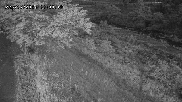 日野川１2026/05/17 21:00:00