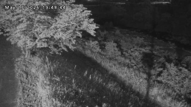 日野川１2026/05/17 21:00:00