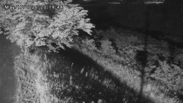日野川１2026/05/17 21:00:00