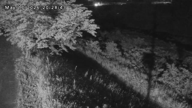 日野川１2026/05/17 21:00:00