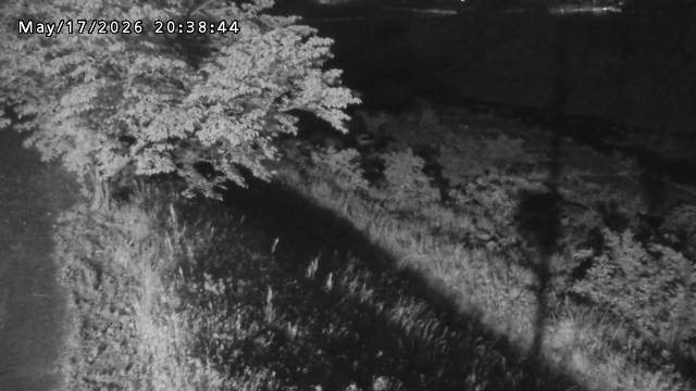日野川１2026/05/17 21:00:00