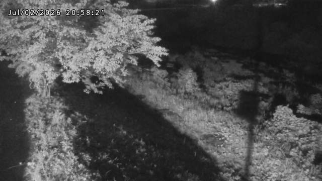 日野川１2026/07/03 9:30:00