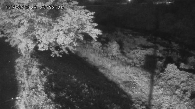 日野川１2026/07/03 9:30:00