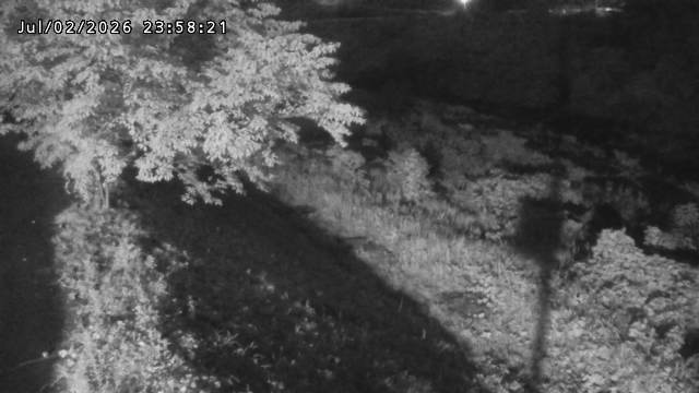 日野川１2026/07/03 9:30:00