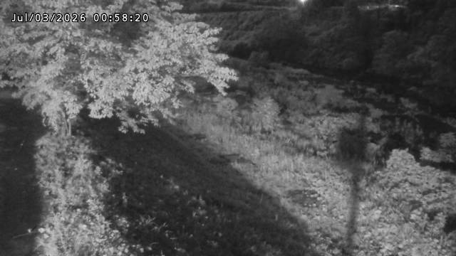 日野川１2026/07/03 9:30:00