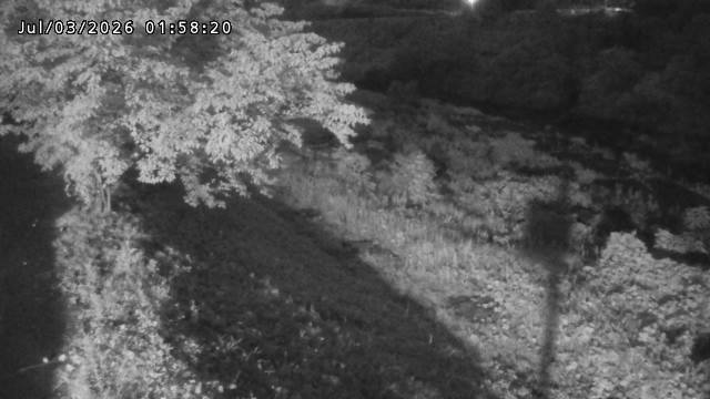 日野川１2026/07/03 9:30:00