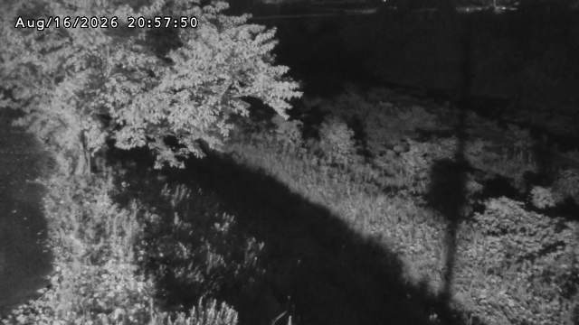 日野川１2026/08/17 21:10:00