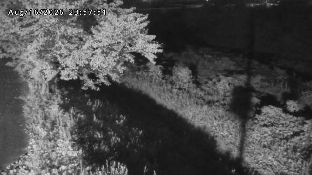 日野川１2026/08/17 21:10:00