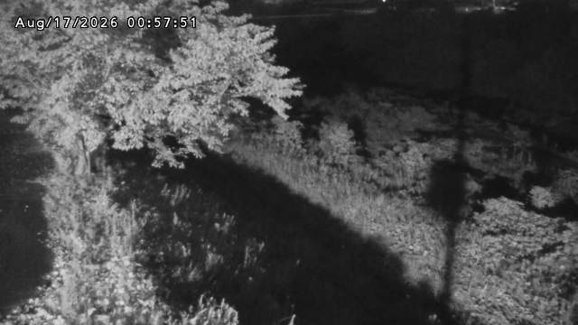 日野川１2026/08/17 21:10:00