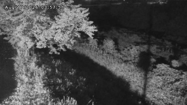 日野川１2026/08/17 21:10:00