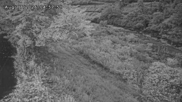 日野川１2026/08/17 21:10:00