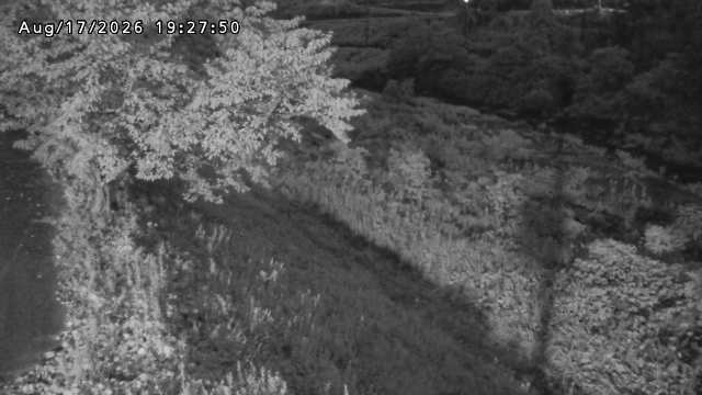 日野川１2026/08/17 21:10:00