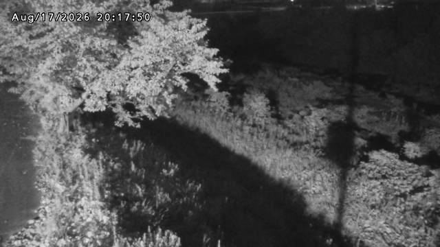 日野川１2026/08/17 21:10:00