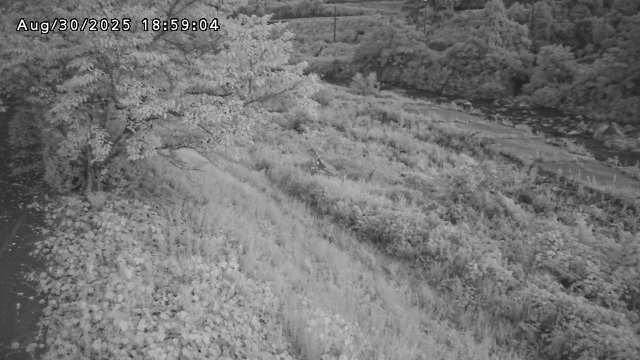 日野川１2025/08/31 9:10:00