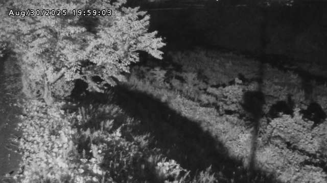 日野川１2025/08/31 9:10:00