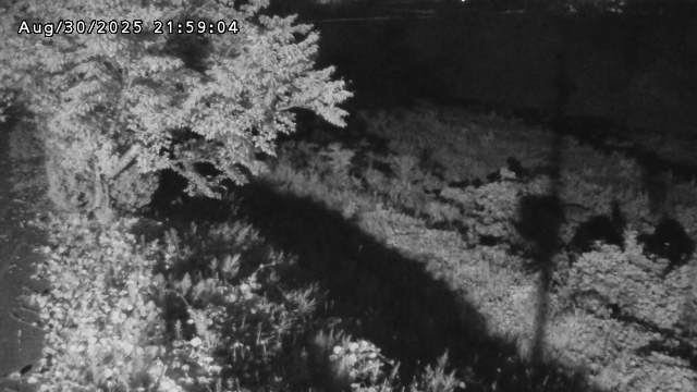 日野川１2025/08/31 9:10:00