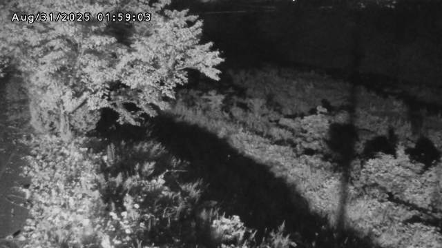 日野川１2025/08/31 9:10:00