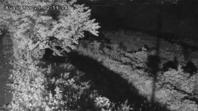 日野川１2025/08/31 9:10:00