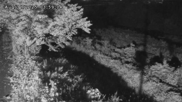 日野川１2025/08/31 9:10:00