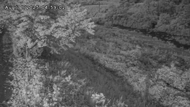 日野川１2025/08/31 9:10:00