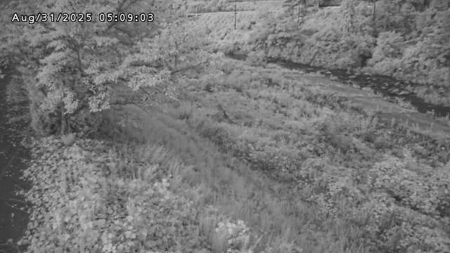 日野川１2025/08/31 9:10:00
